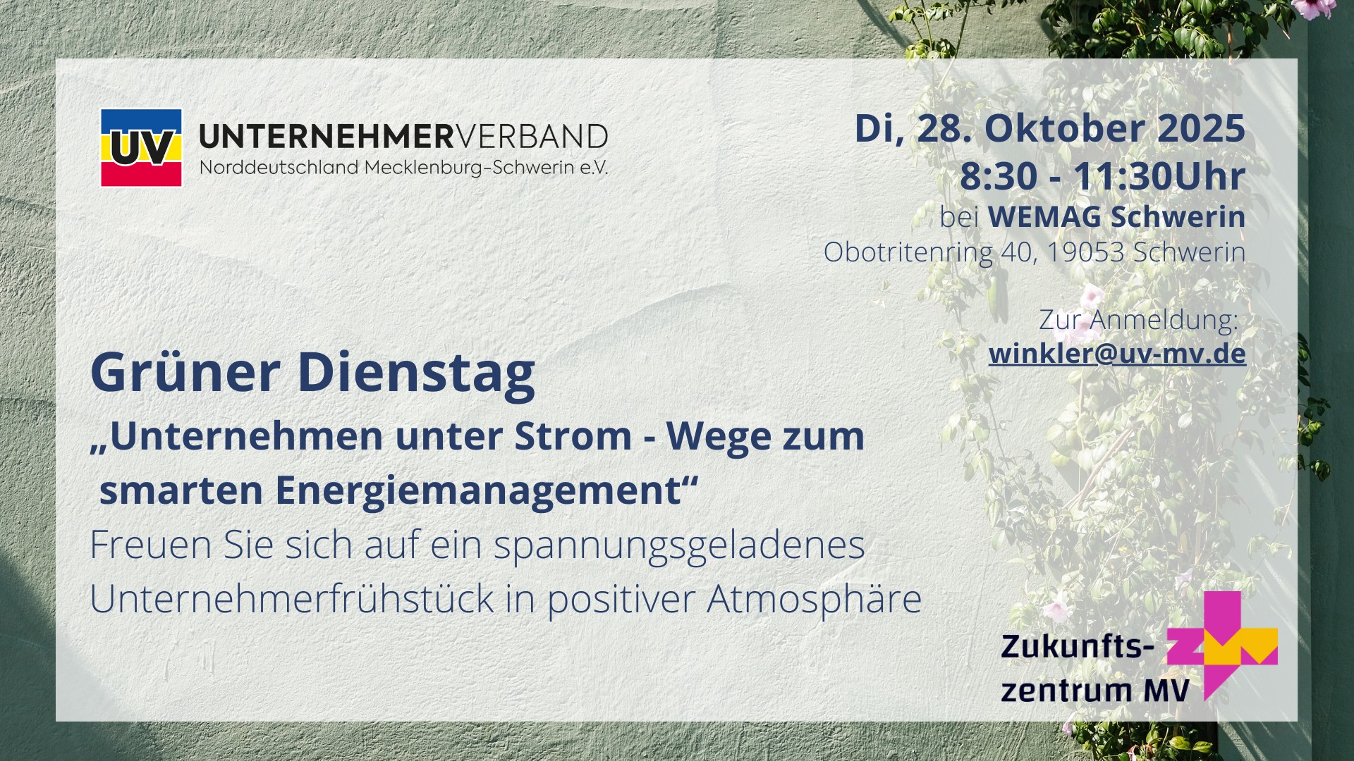 Grüner Dienstag bei der WEMAG Schwerin – Impulse für smarte Energiewelten
